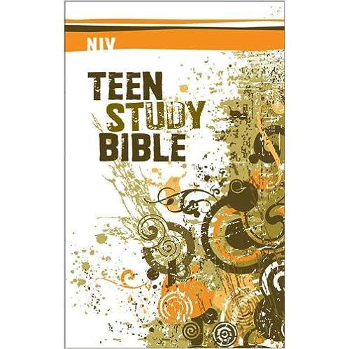 Teen Study Bible (NIV)