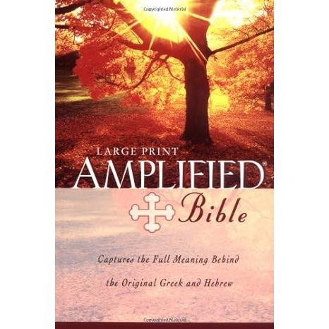 Amplified Bible (Large Print)