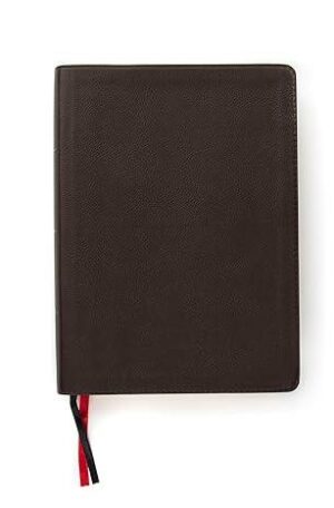 The Message Bible (Slimline Genuine Leather Edition)