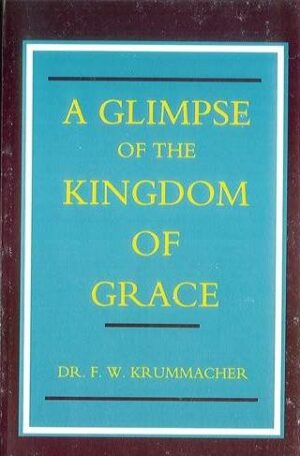 A Glimpse of the Kingdom of Grace