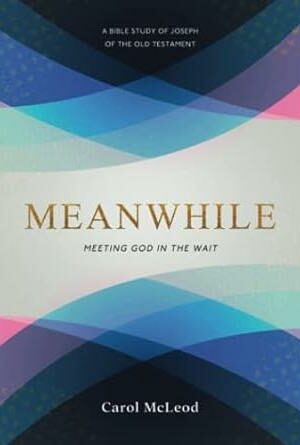 Meanwhile: Meeting God in the Wait