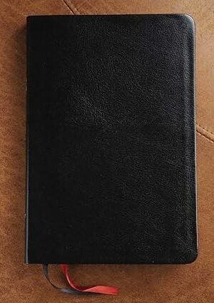 NIV Thinline Bible - Large Print (Bonded Leather)