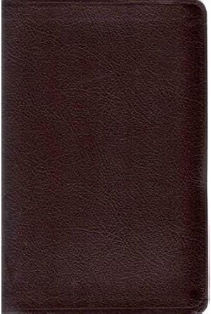 Thinline Bible: New International Version (Leather)