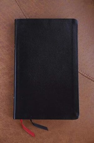NIV Thinline Bible (Bonded Leather)