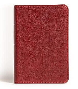 NASB Ultrathin Reference Bible (American Standard Bible)