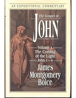 The Gospel of John: The Coming of the Light (Volume 1)