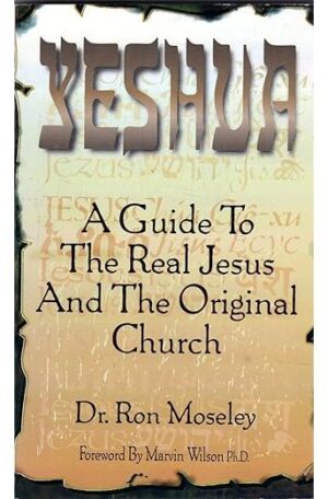 Yeshua: A guide to the real Jesus and the original church
