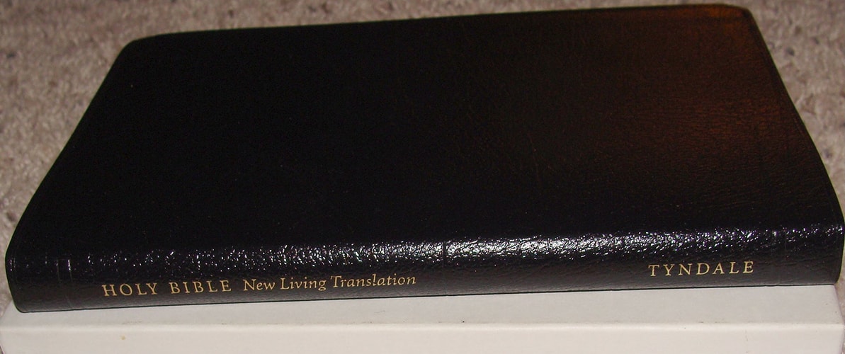 Image for Slimline Reference Bible (NLT)