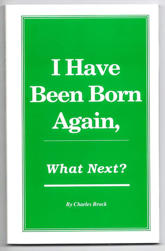Image for I Have Been Born Again, What Next?